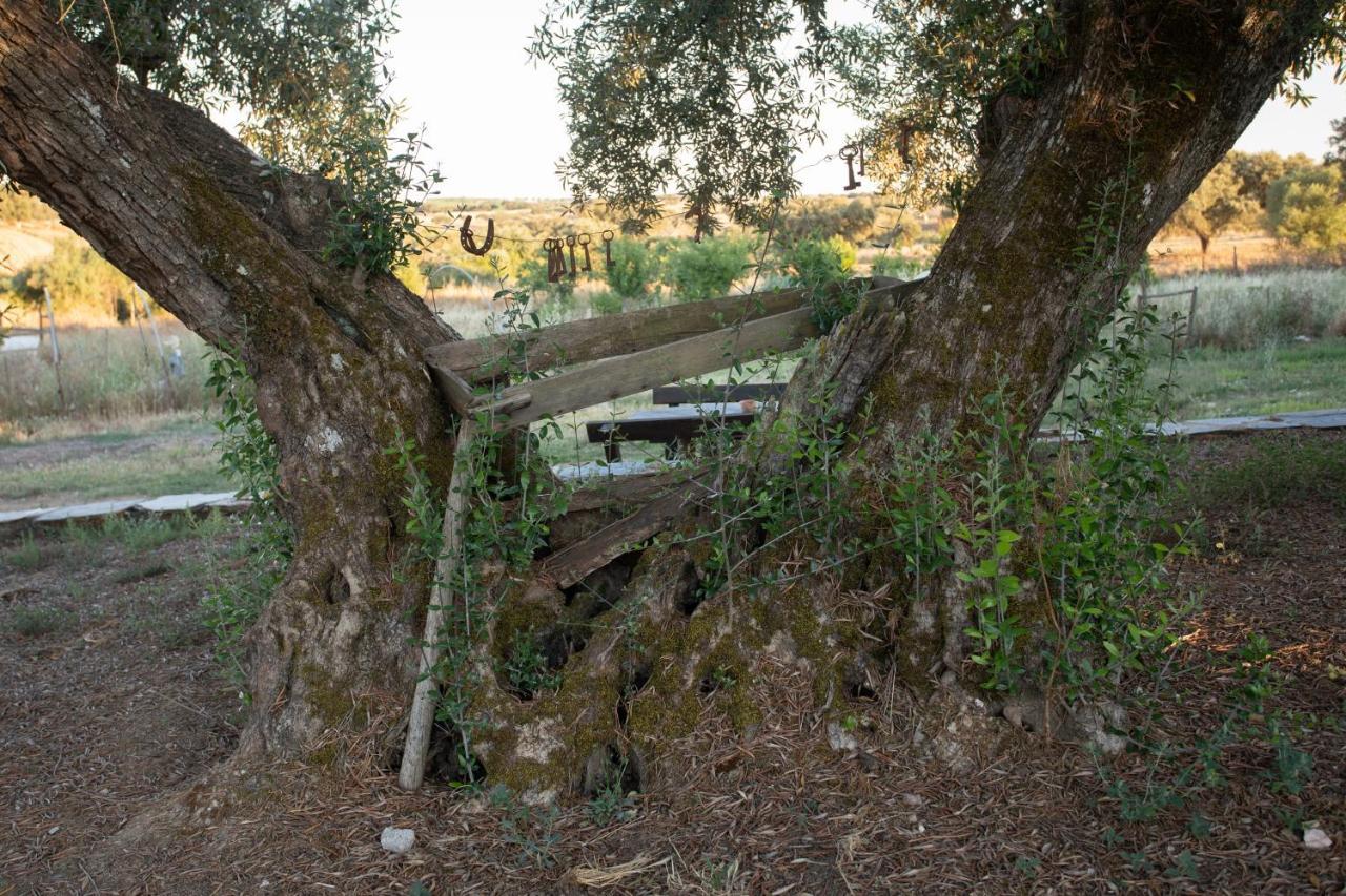 Monte Dos Vicentes Herdade Da Yucca Terena Exterior foto
